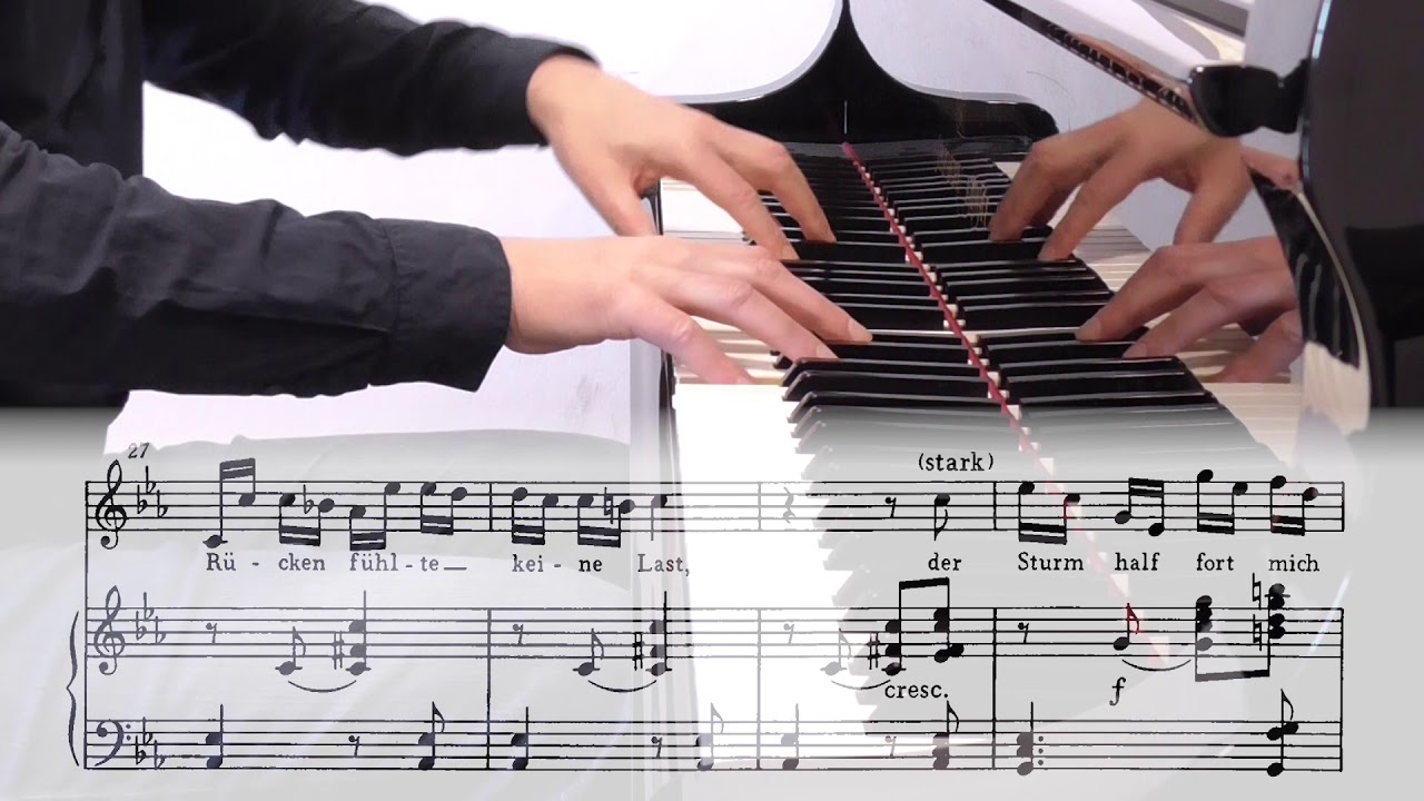 Franz Schubert: Winterreise D 911 - 10 - Rast