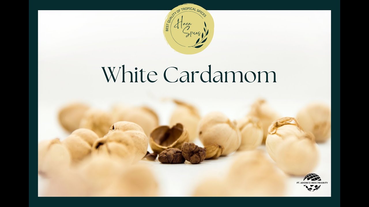 WHITE CARDAMOM / KAPULAGA - One of the best tropical spices from INDONESIA