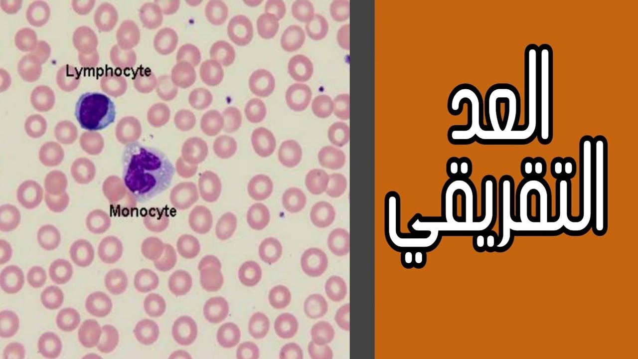 العد التفريقي لكريات الدم البيضاء | الحلقه التاسعه من حلقات صوره الدم الكامله مانيوال