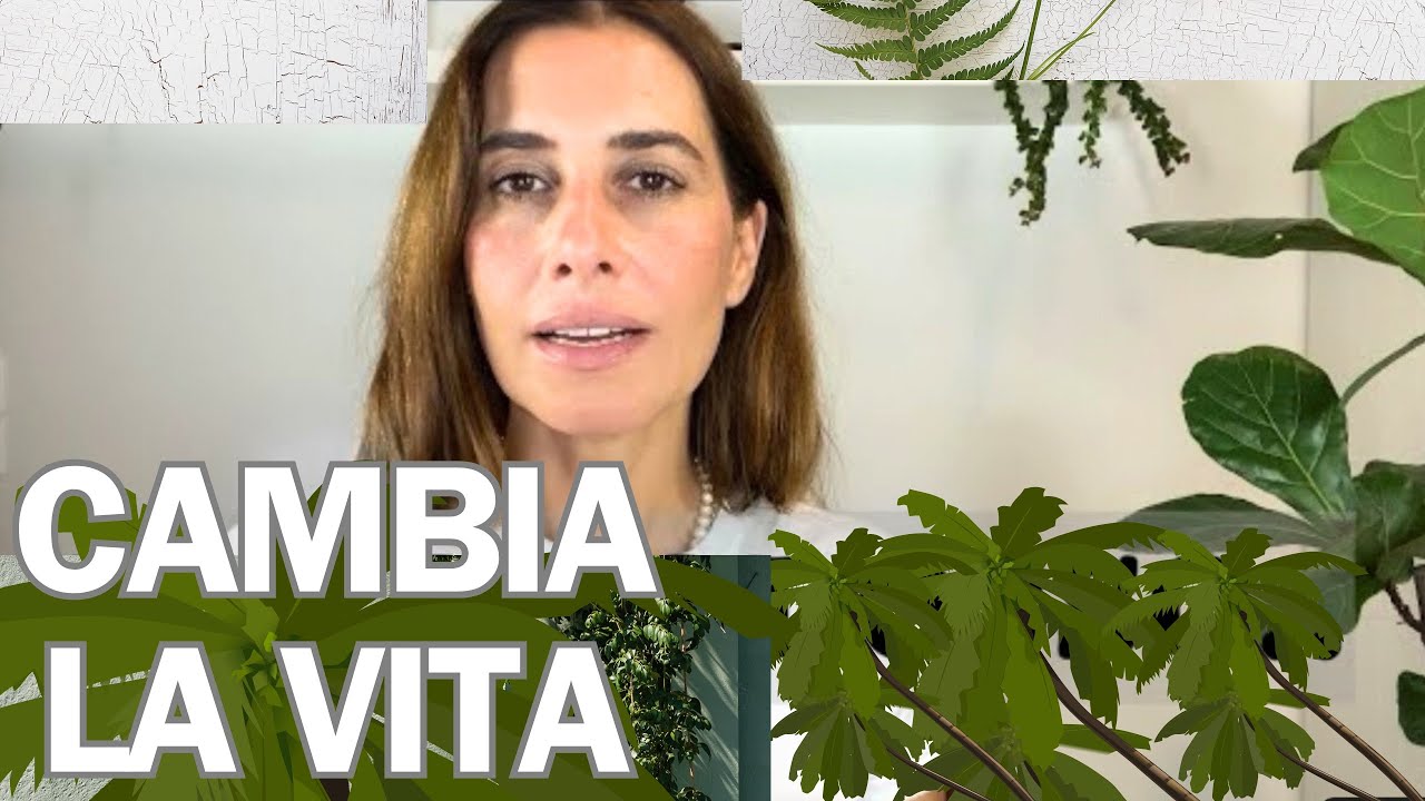 12 PARADOSSI CHE TI CAMBIANO LA VITA.