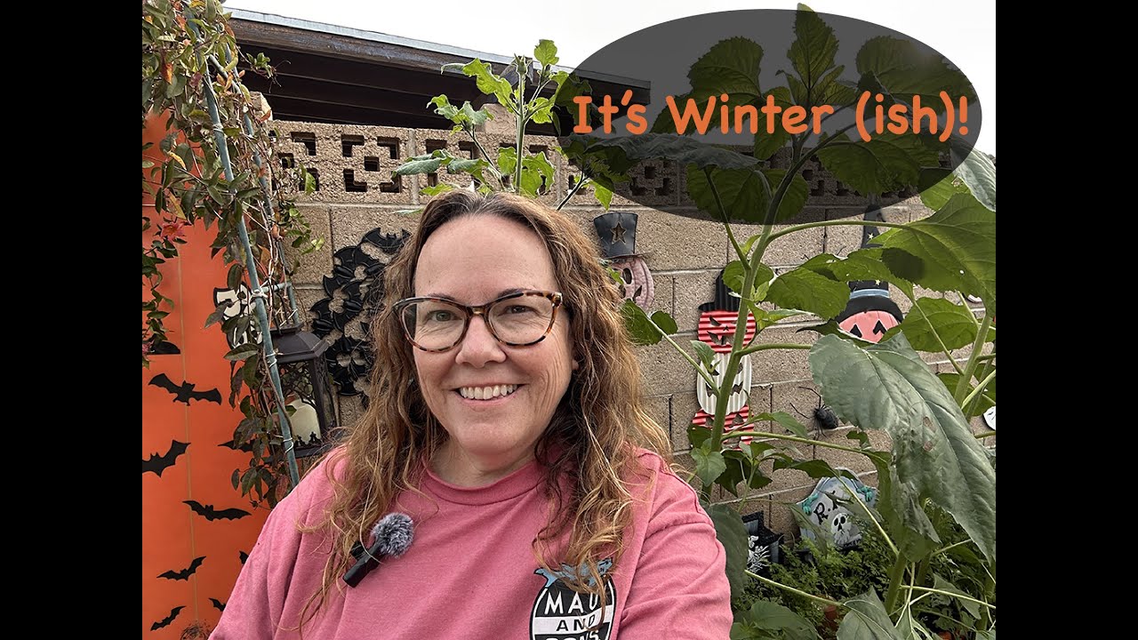 January garden update in this crazy weather!