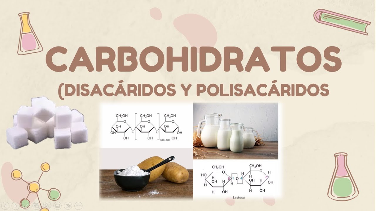 Carbohidratos - disacáridos y polisacáridos | Bioquímica