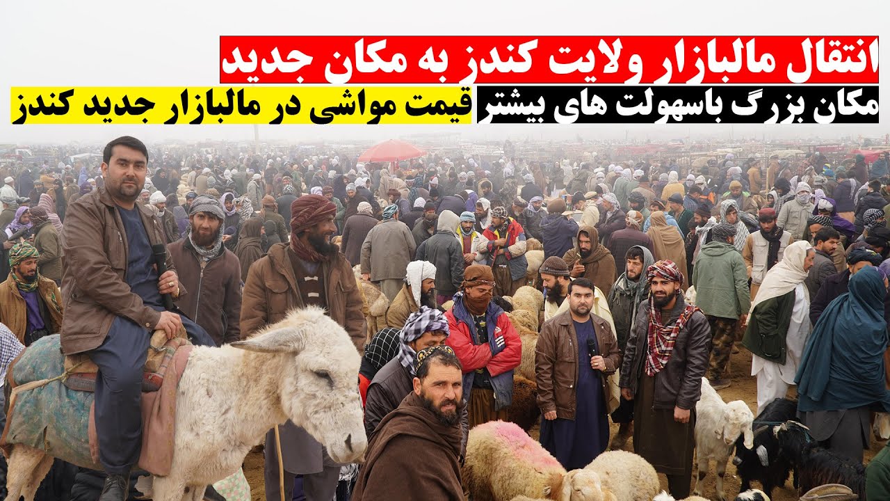گزارش ویژه از انتقال مالبازار ولایت کندز به مکان جدید | مکان بزرگ باسهولت های بیشتر | نرخ ونوا مواشی