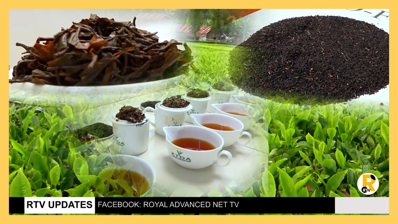 Murang'a county aims to establish a Geographical Indication  for its tea in efforts to help farmers