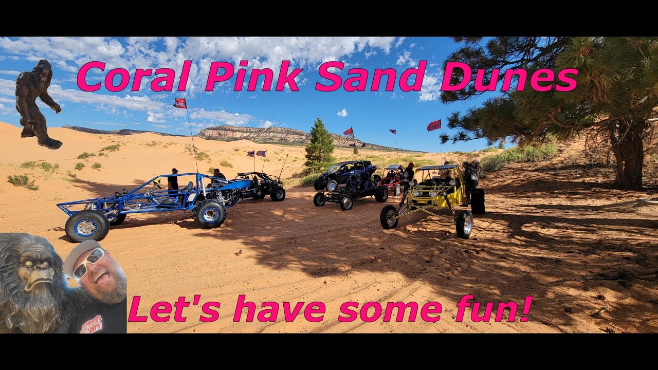 Coral Pink Sand Dunes doesn't disappoint! We get out and have some fun in the sand!