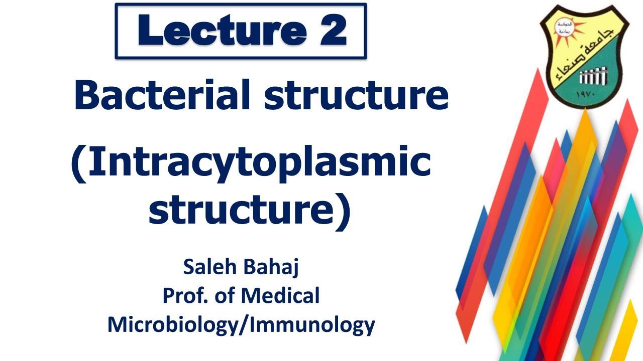 2- Bacterial strecture (Intracytoplasmic structure)