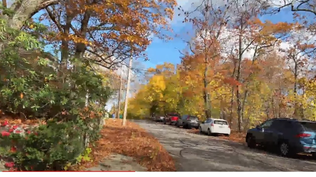 LIVE Fall Foliage Walk in Massachusetts