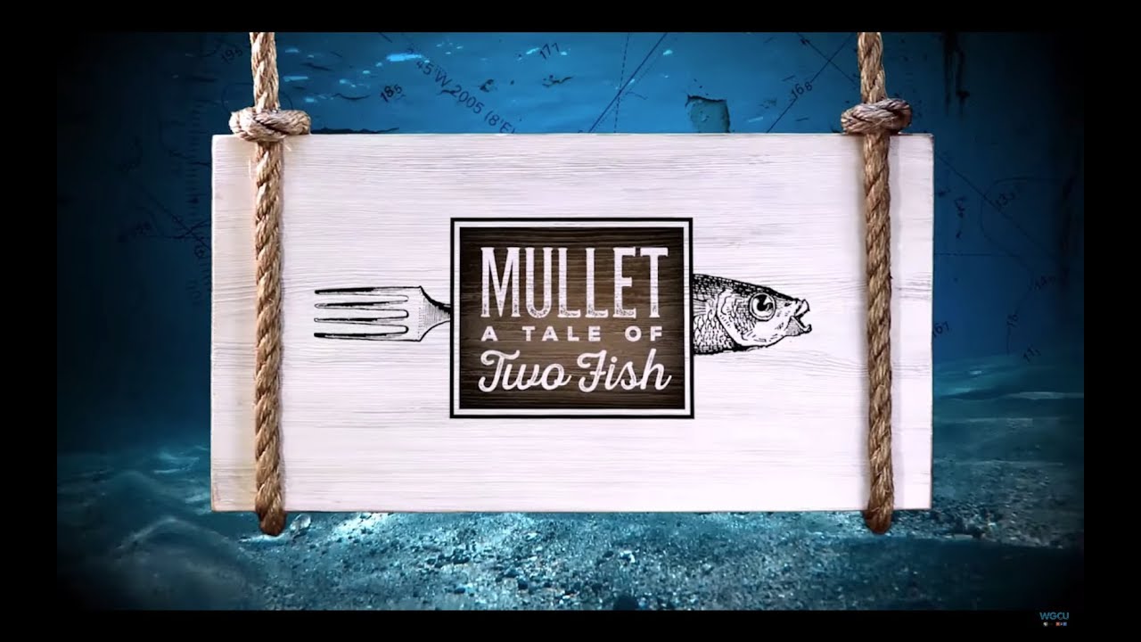 Mullet: A Tale of Two Fish - A WGCU Fishing Documentary