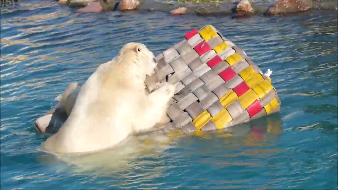 Parv Inukile ja Imaqile