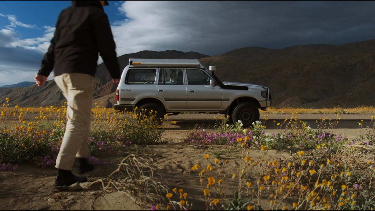 Chasing wildflowers in our Land Cruiser camper [ASMR | Peaceful Camp Film]