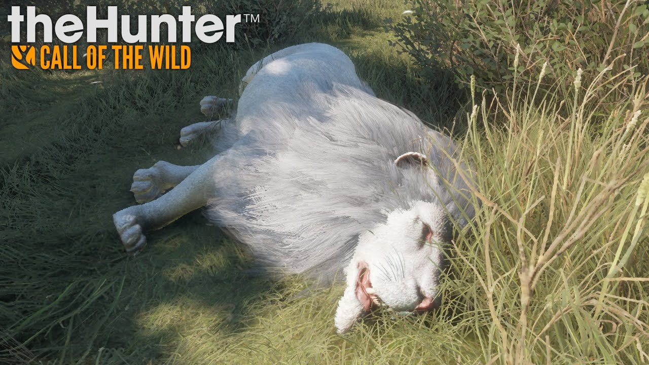 ZAKLINACZ LW&Oacute;W (theHunter: Call of the Wild #22)