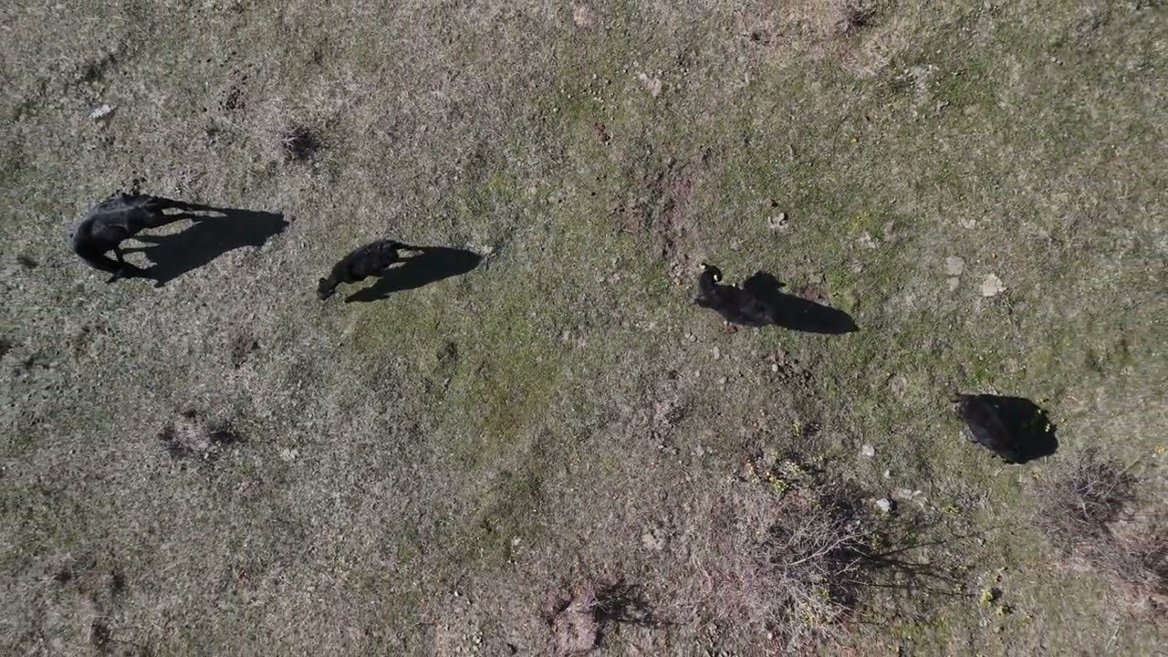 DJI mini 4 Pro - Врачански Балкан 2026