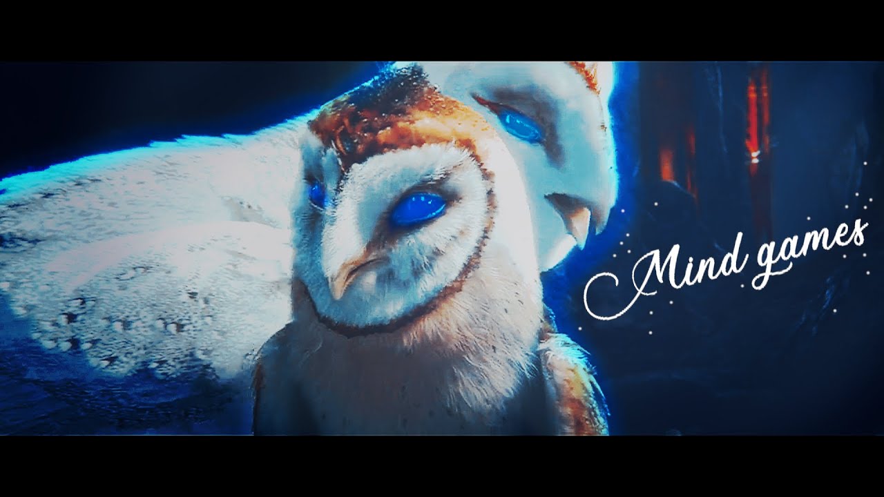 《 𝔪𝔦𝔫𝔡 𝔤𝔞𝔪𝔢𝔰. 》
