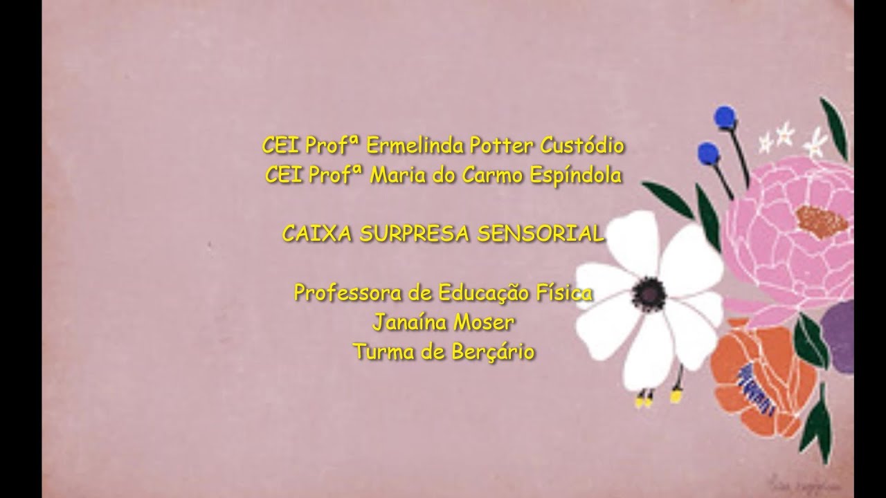 Brincadeira para Berçário - Caixa surpresa sensorial