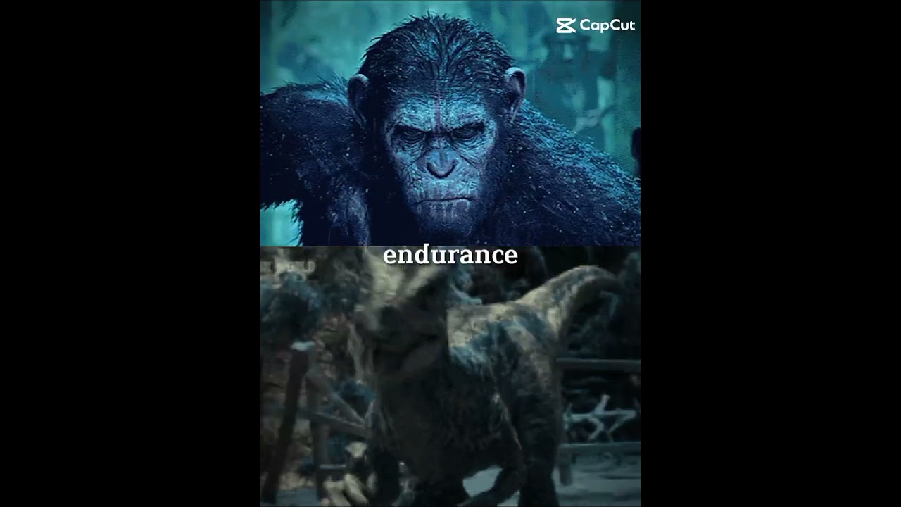 Blu vs Cesar #jurassicworld #planeta dos macacos