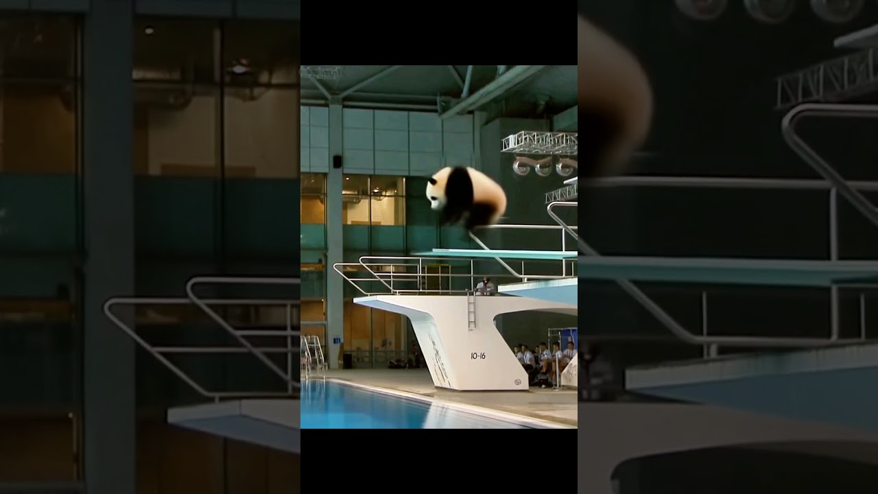 Hilarious & Adorable Animal Olympics: Diving Showdown! #AnimalOlympics #DivingCompetition #Panda
