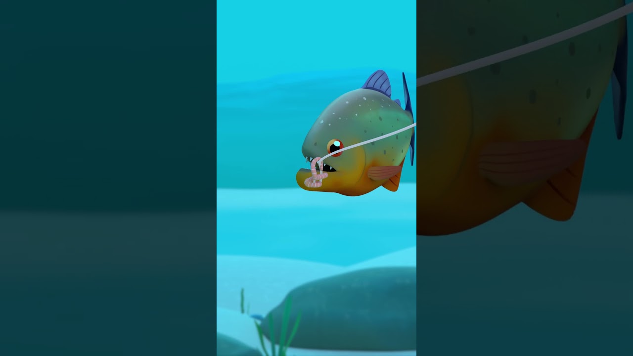 Fish Hook Frenzy! 🎣 | Leo the Wildlife Ranger | #shorts #animals #fun