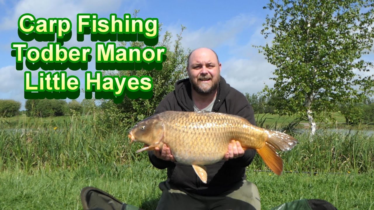 Carp Fishing, Todber Manor, Little Hayes