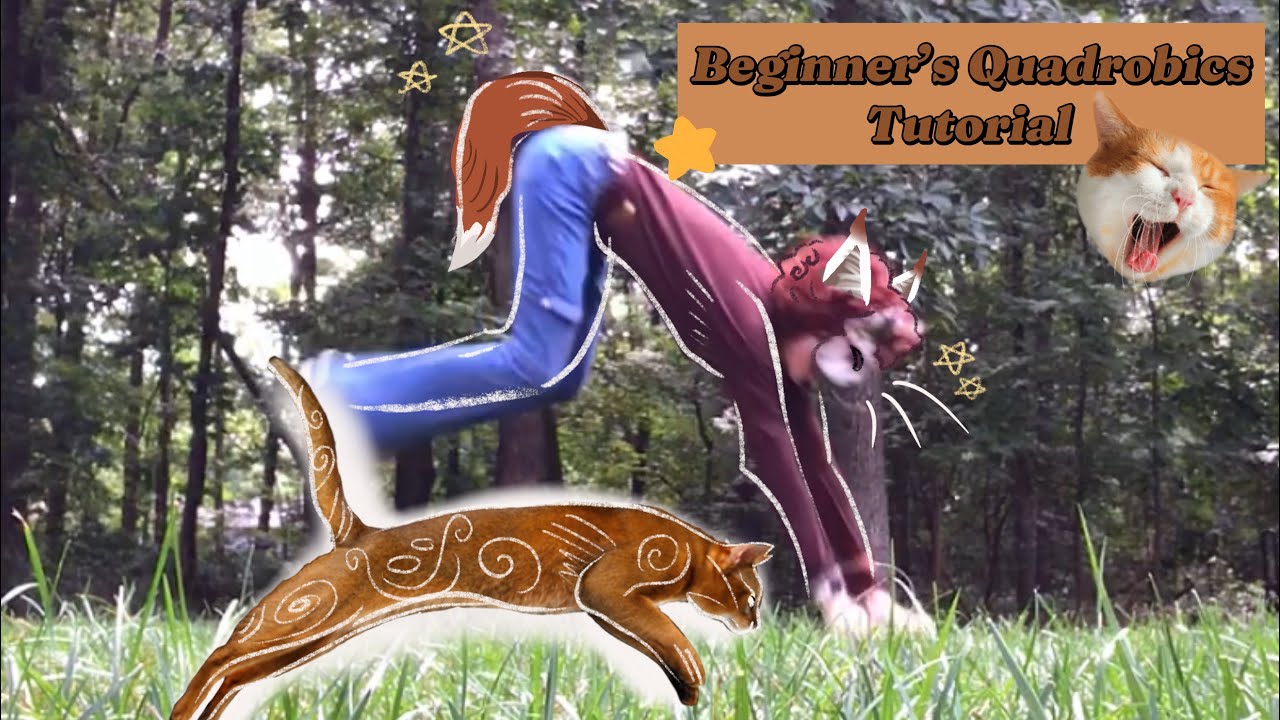 Beginner’s Quadrobics Tutorial (ALL FORMS) // (updated)