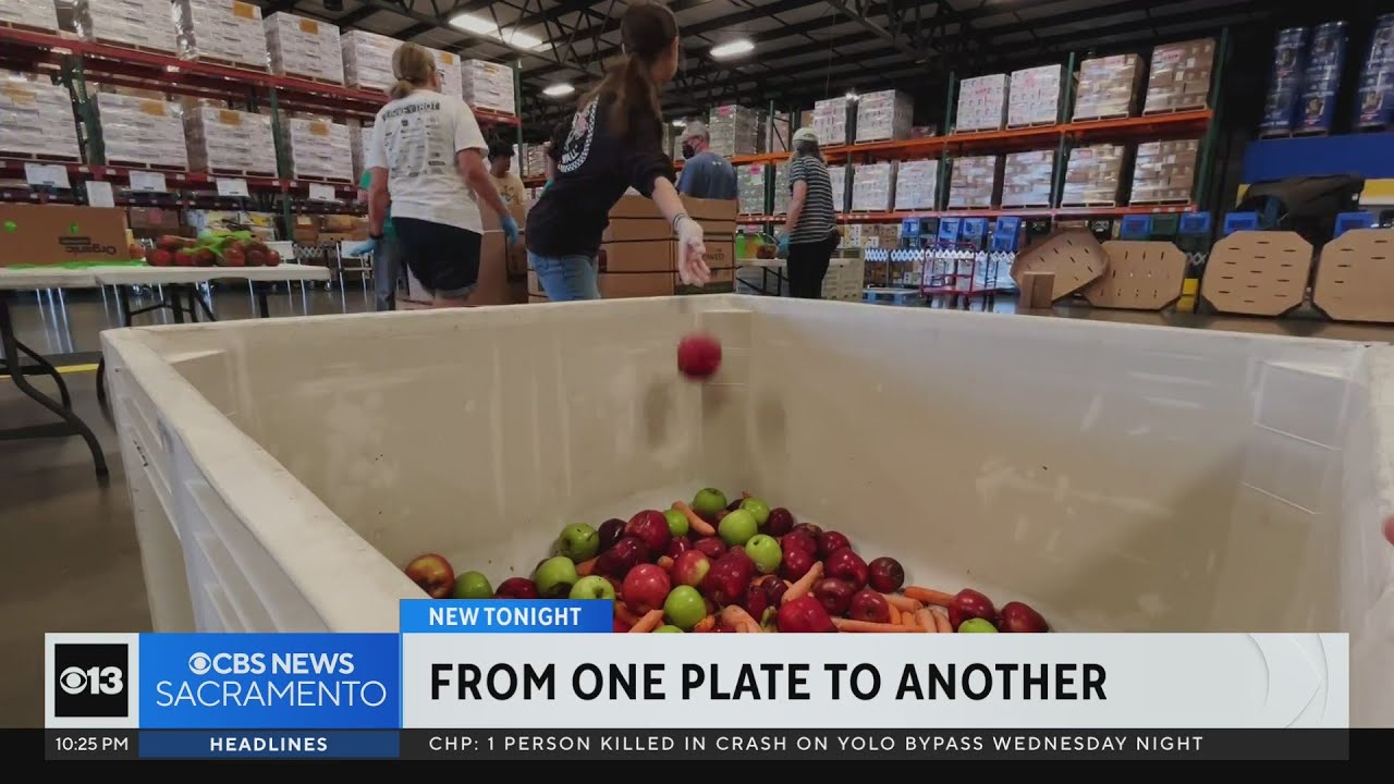 From one plate to another: California-based group finding solutions to food insecurity by using tech