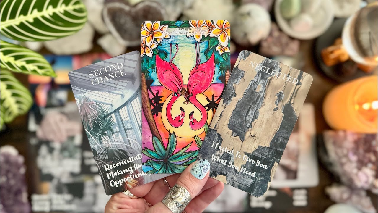 There is a RENEWAL coming. This person feels the separation! 🦩🦩 Timeless LOVE Reading 🦩🦩