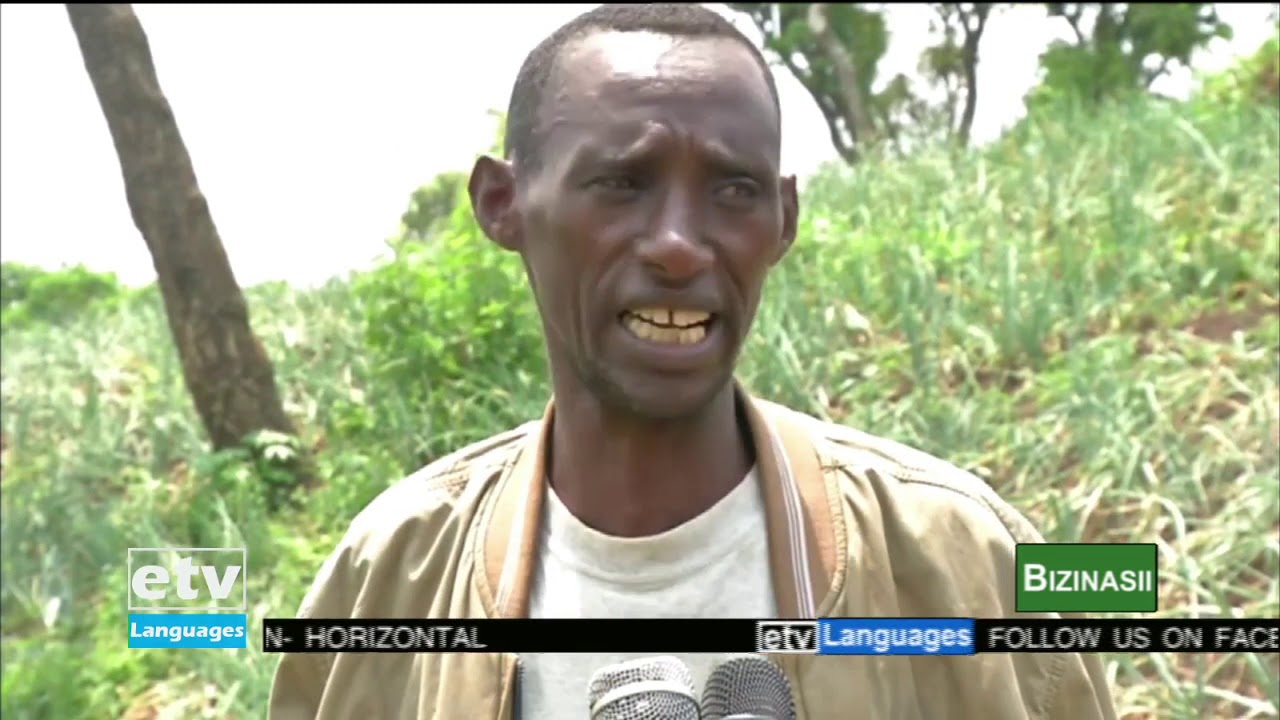 Oduu Bizinasii Afaan Oromoo 07/07/2013