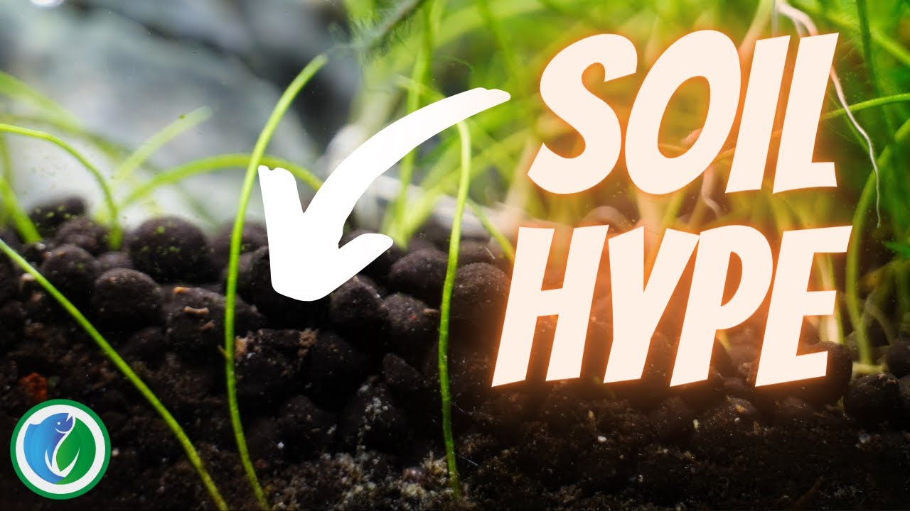 Soil-Hype: perfekter Bodengrund oder &uuml;berbewertet?