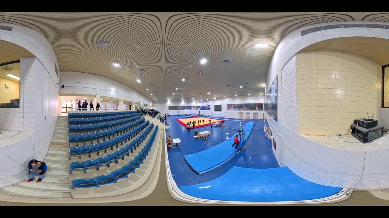 Saudi gymnastics