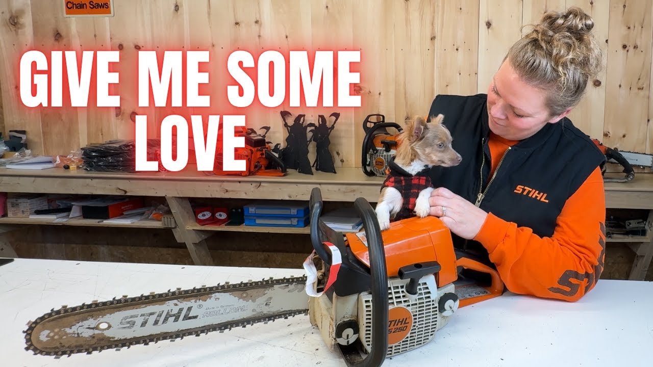 Работает ужасно | Бензопила Stihl MS250 отчаянно нуждается в помощи