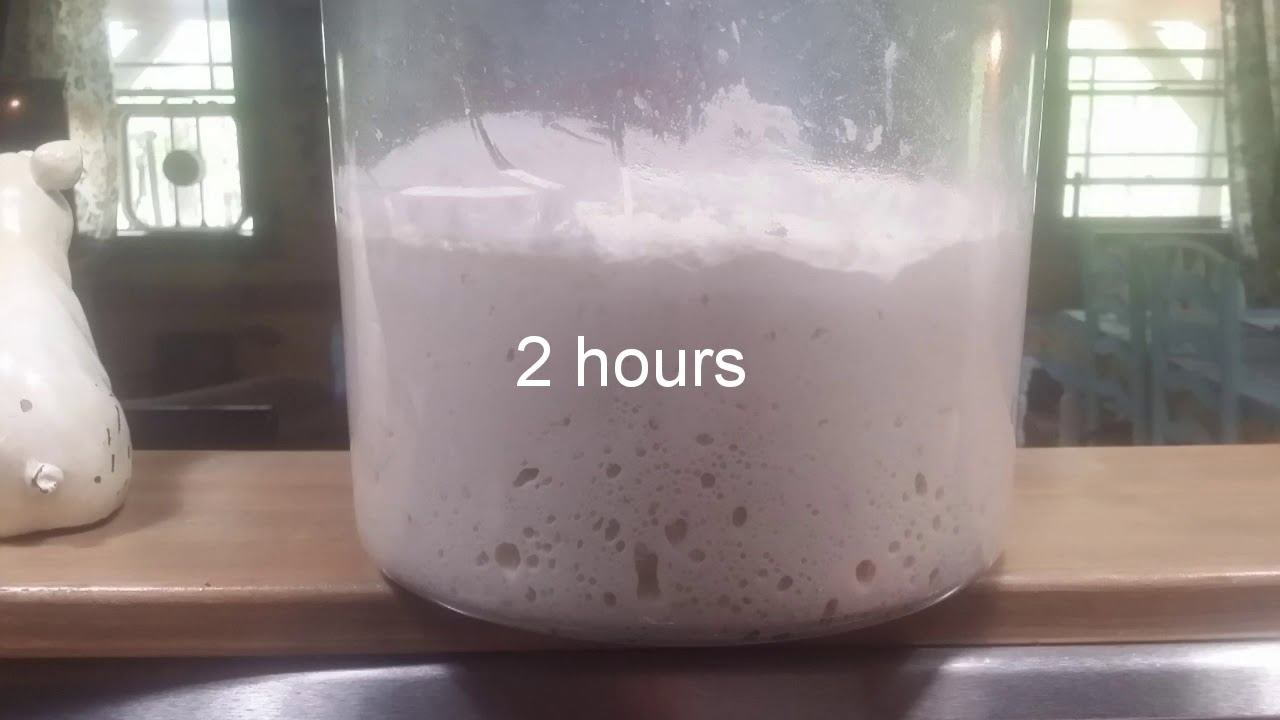Easy Bread