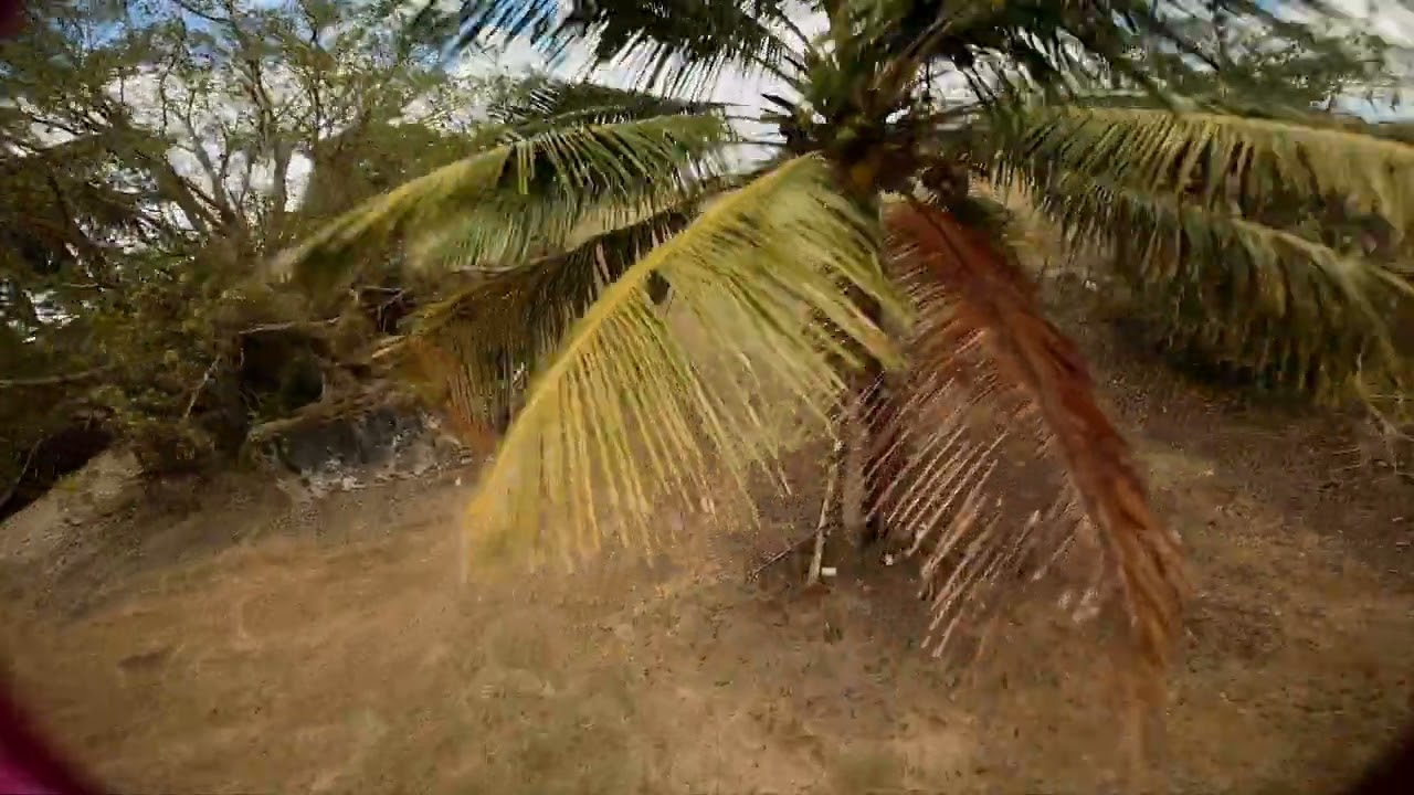 Warm Season Freeride FPV Drone (Prod. UGN)