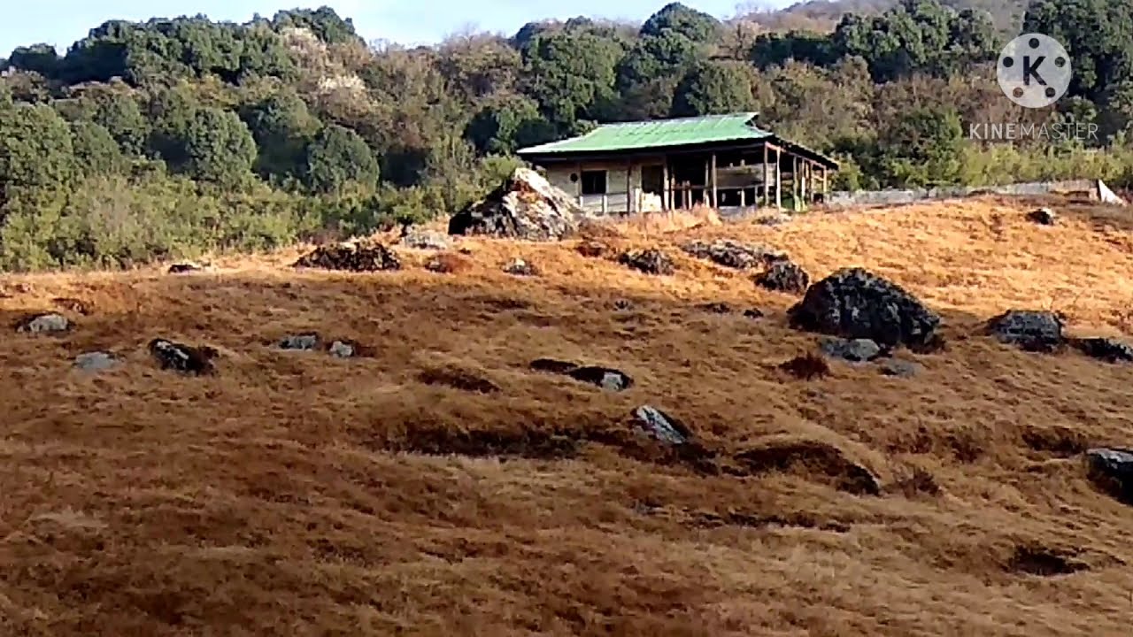 KHEDI TREK - TWENTY20