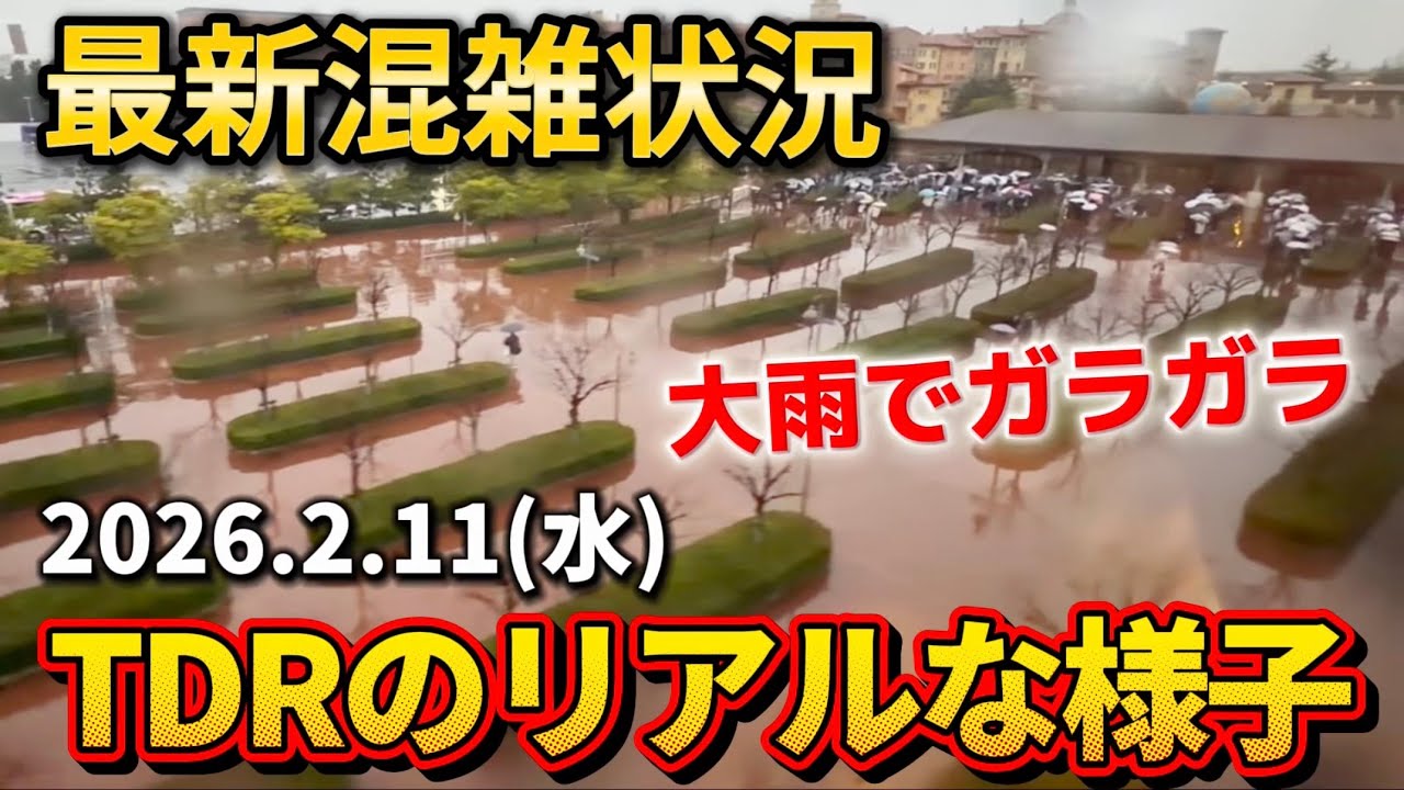 【現地速報】閑散期ほぼ終了の祝日は混んでるの⁉️ディズニーリゾート最新混雑状況【2026.2.11】
