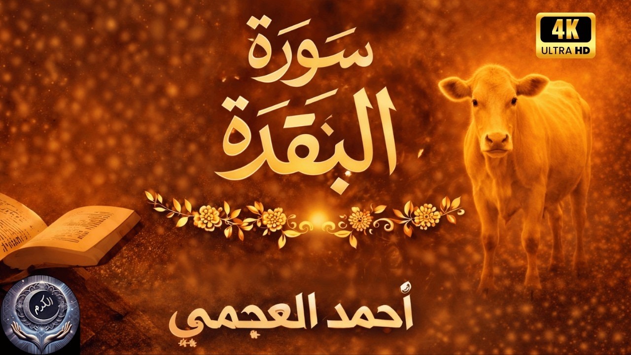 سورة البقرة  تلاوة تبكي القلوب | احمد العجمي