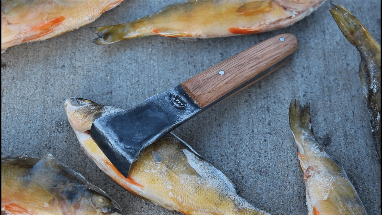 This is the Best Fish Scaler