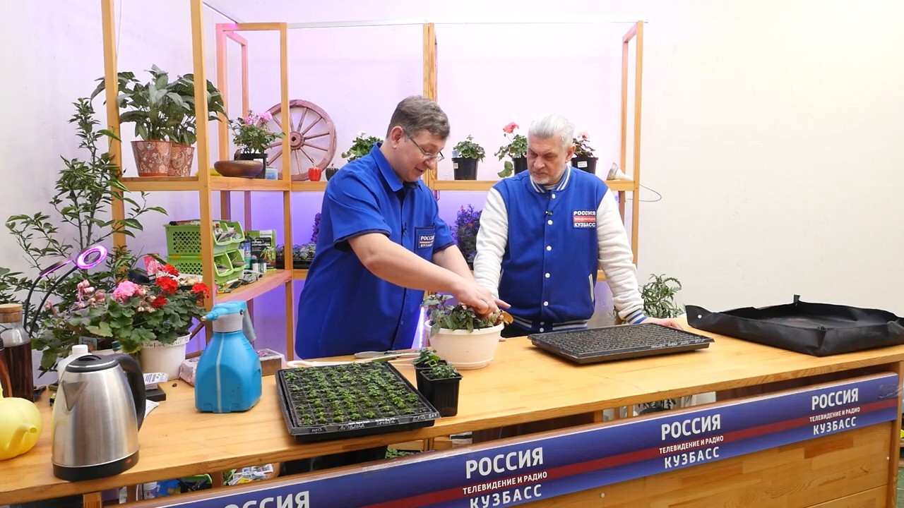 Вести.Интервью: Владислав Кундасёв, агроном