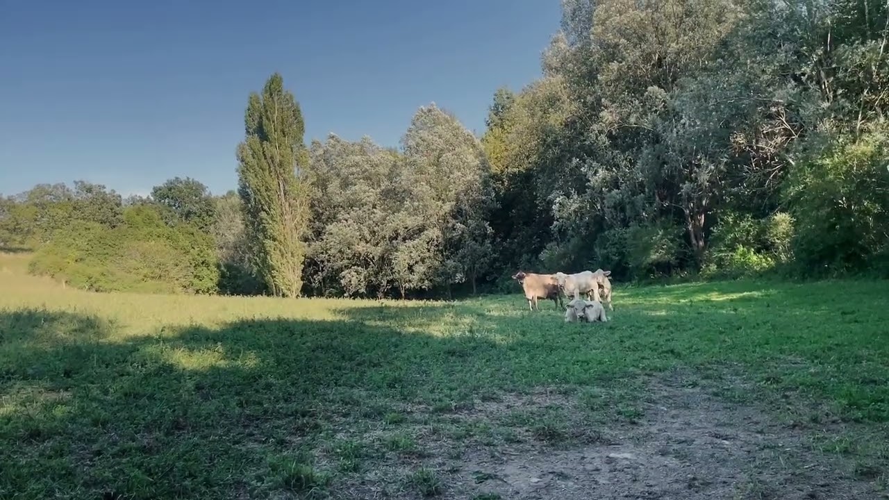 Minute Lumière #315