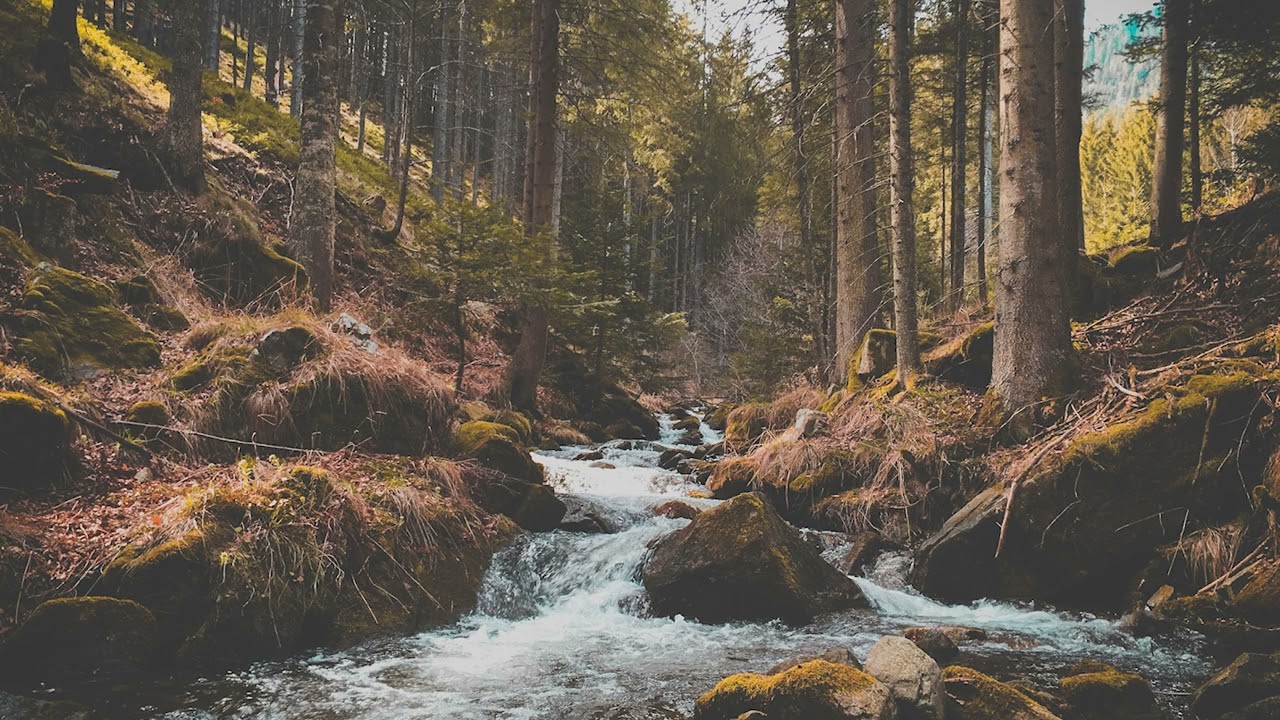 Peaceful Productivity | Study, Relax, Focus