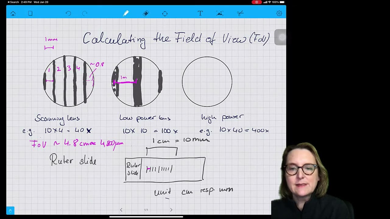 Calculating the Field of View of a Light Microscope