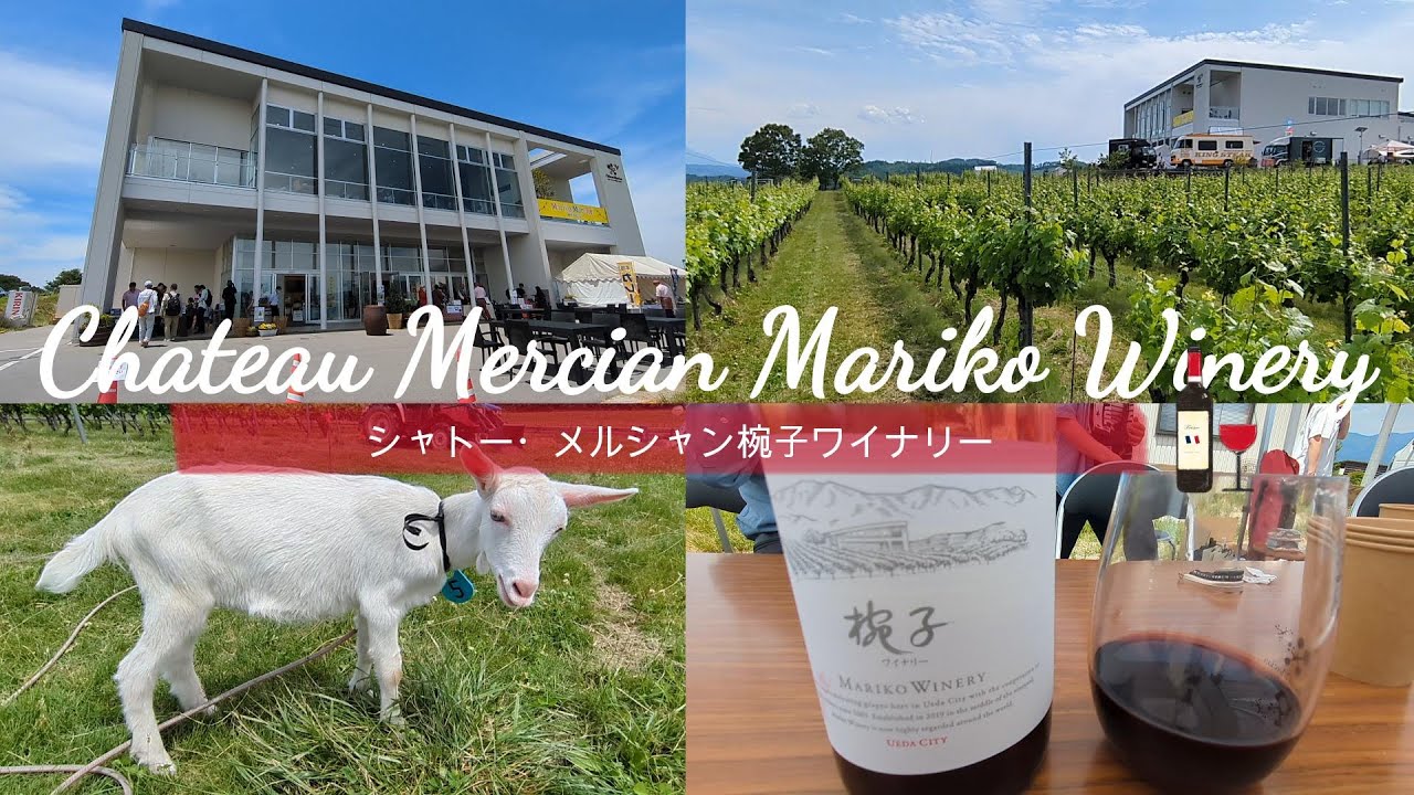 【シャトー・メルシャン椀子ワイナリー】 chateau Mercian Mariko Winery #長野県上田市 #丸子 #長瀬 #信州ワイン #上田ワイン #sightseen #wine