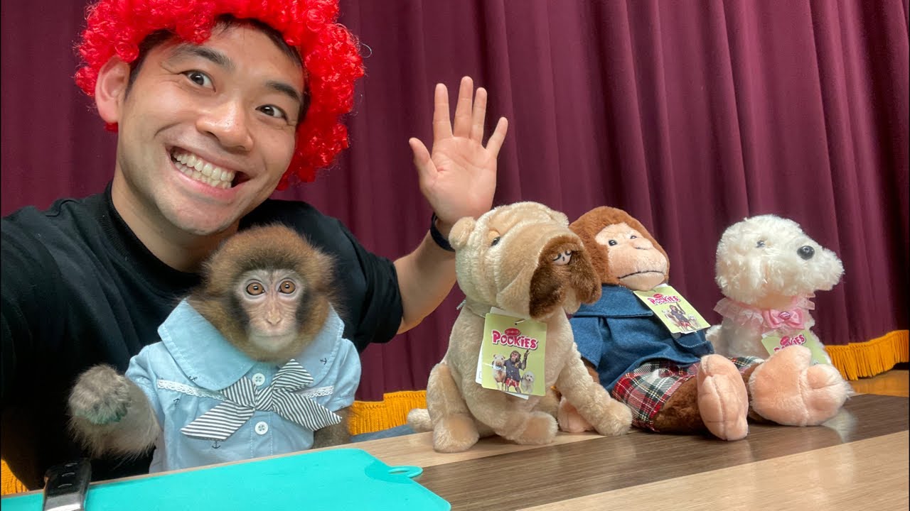 ルートくんの誕生日をお祝いしちゃう生放送！（今更って言うな）