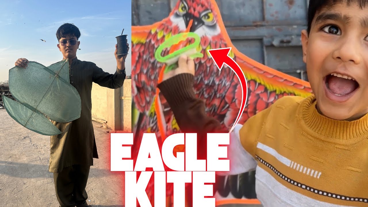 “Sabse Bari Eagle Patang Uda Di 😱🦅”