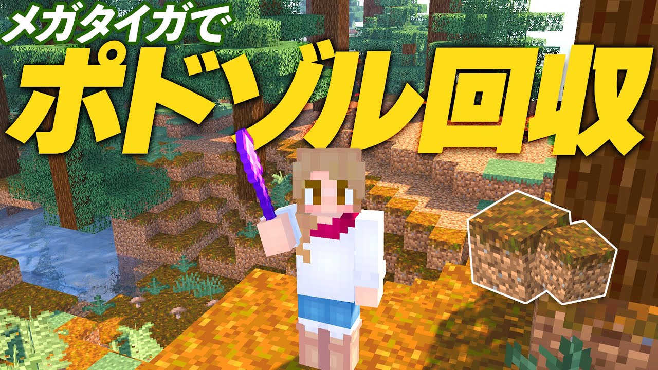 メガタイガでポドゾル初回収！敷地の装飾に使える♪【マインクラフト】マイクラ実況 134