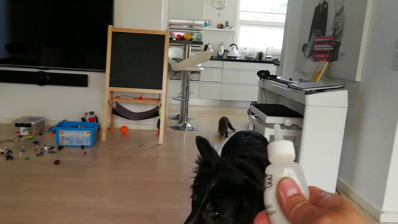 Husm&aring;r f&aring;r sutteflaske Marten bottle feeding