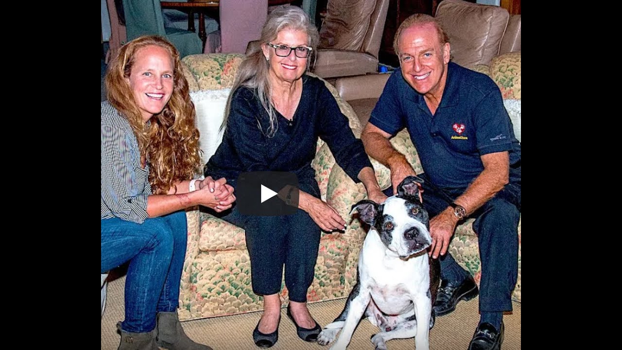 The Pet Psychic ®talks to Mikey, The Pit Bull - Animal Zone - Season 1, Episode 1
