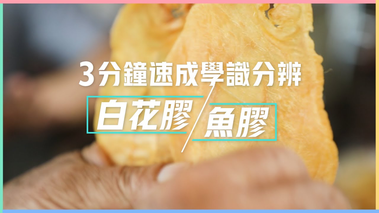 ｜陳恒鑌｜3分鐘速成學識分辨白花膠定魚膠！
