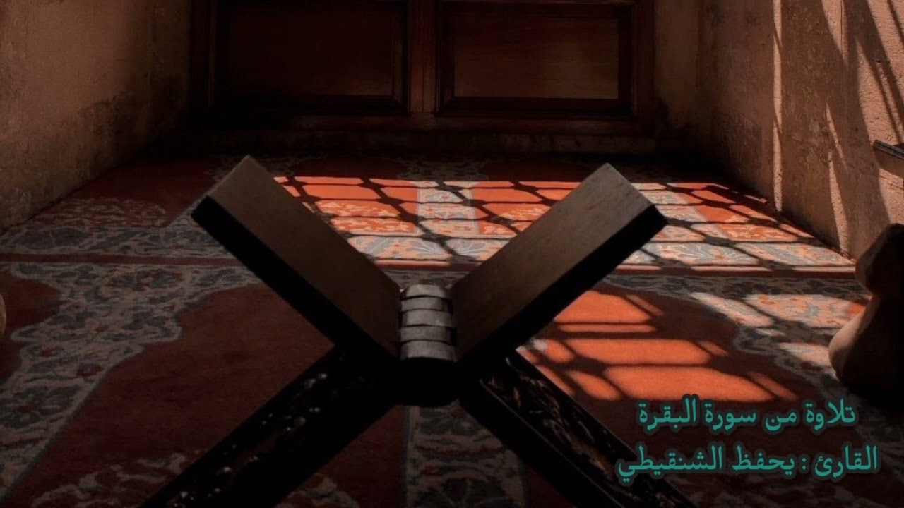 282 تلاوة من سورة البقرة القارئ : يحفظ الشنقيطي