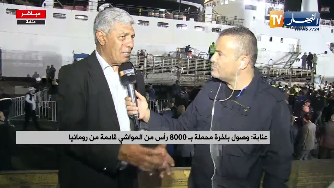 ميناء عنابة: بداية تفريغ الباخرة التي تحمل 8000 رأس غنم مستوردة من رومانيا