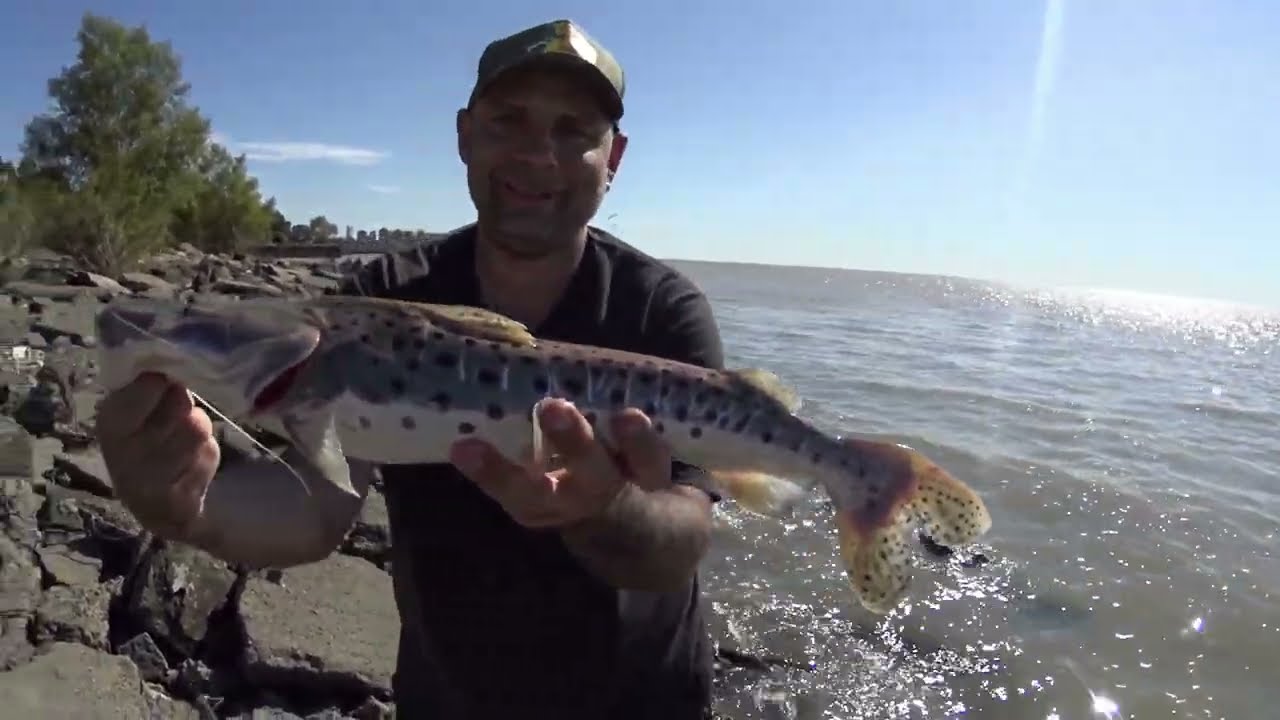 NUNCA PENSÉ TENER ESTA CAPTURA ACÁ... Pesca.
