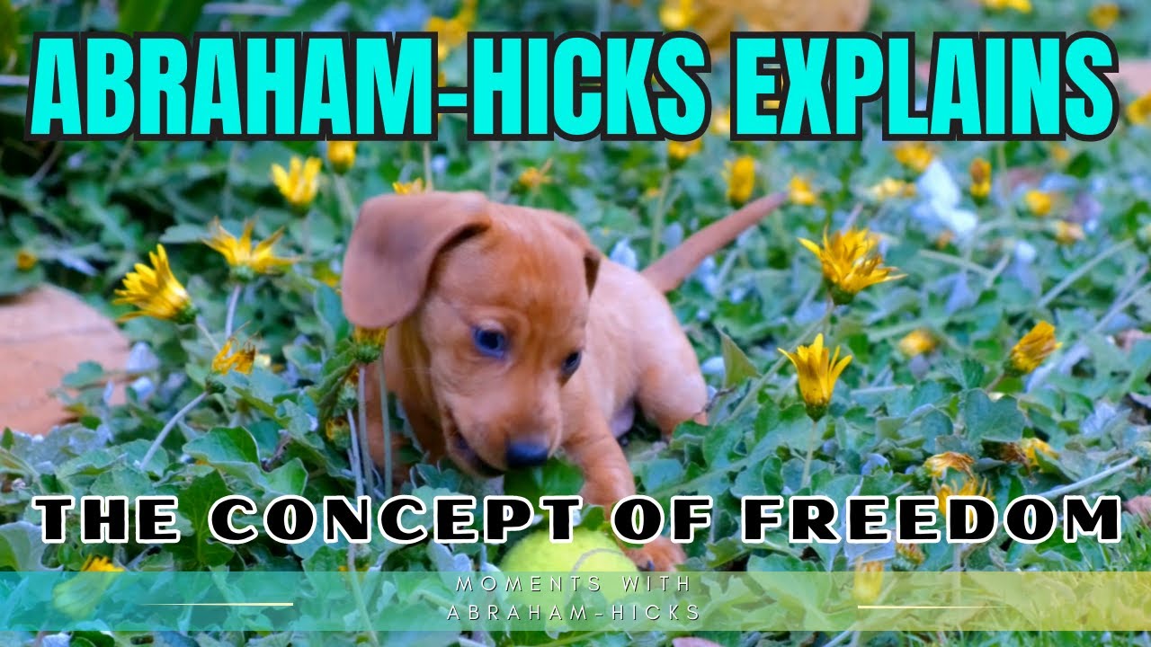 Abraham Hicks Explains The Concept of Freedom (with dogs)